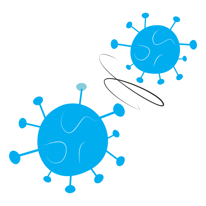 Illustration of two blue, spherical virus-like particles with spike proteins protruding from their surfaces, resembling the structure of a coronavirus. The particles have a slightly abstract, simplified design with wavy lines and circles.